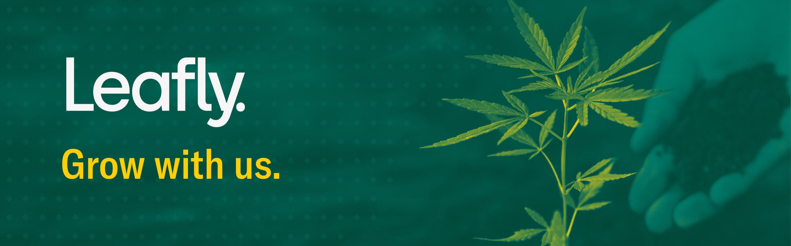 Leafly careers